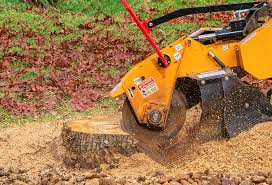 Best Tree Mulching  in Rice, MN